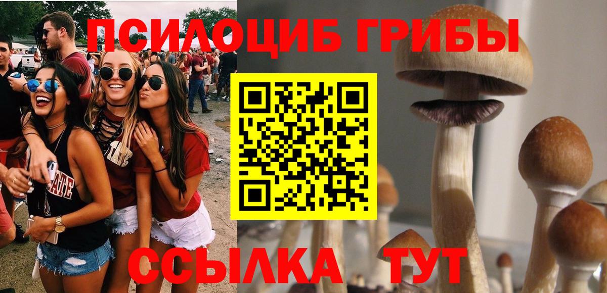 Галлюциногенные грибы прущие грибы Гагарин